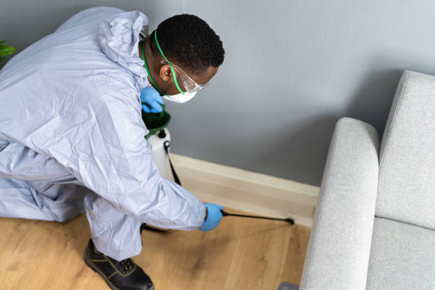 Best Residential Pest Control  in Midland, PA